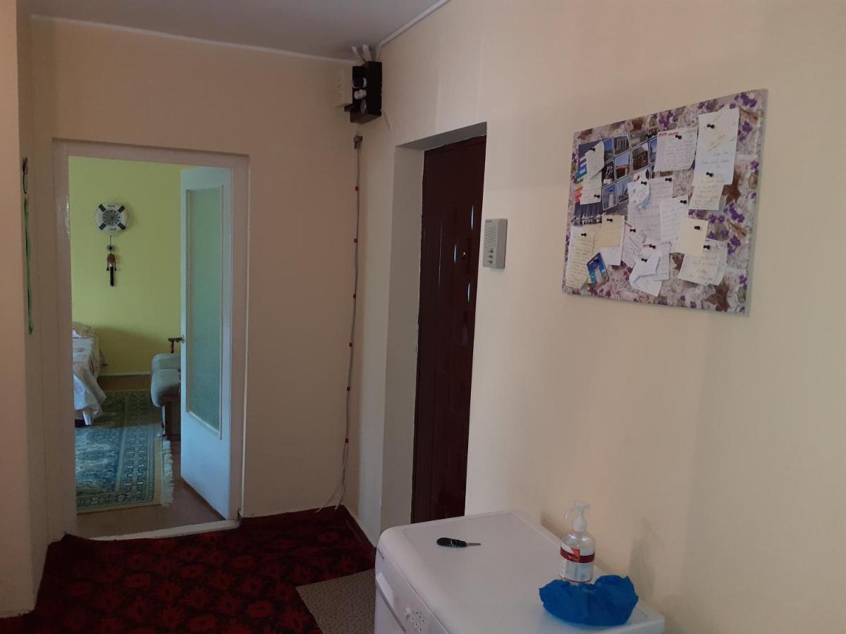Apartament Callatis مانغاليا المظهر الخارجي الصورة